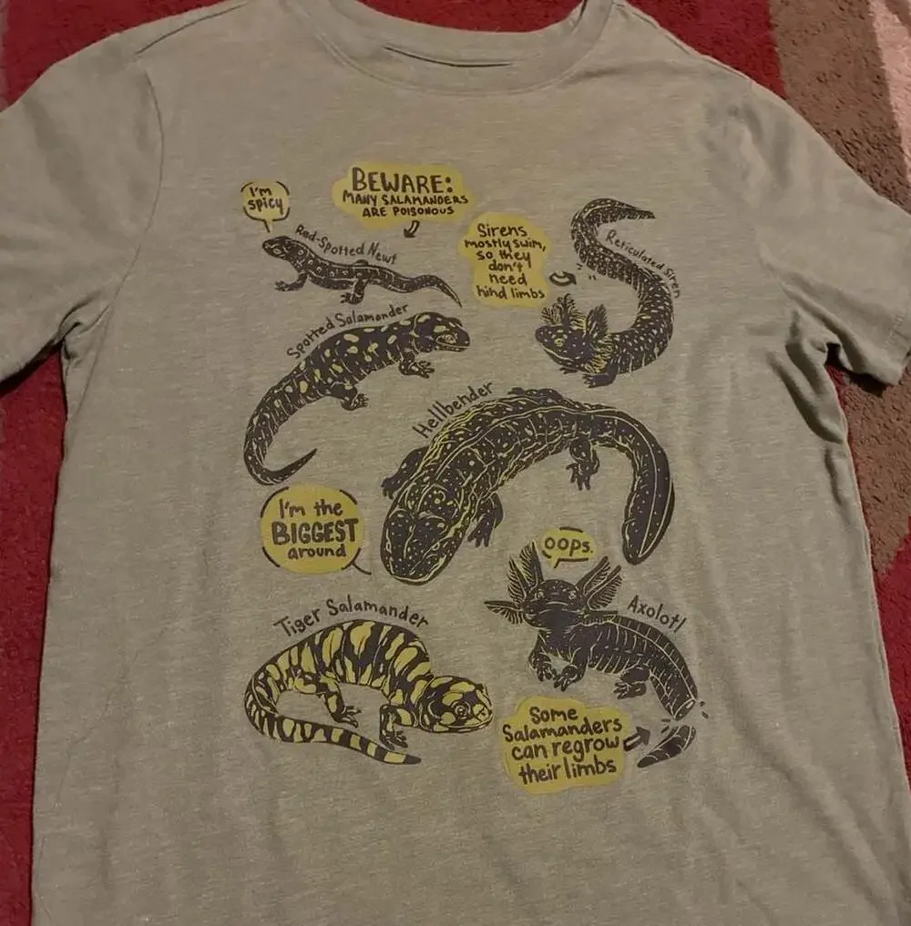 Cat & Jack Salamander Axolotl Graphic T-Shirt Green Size XL (14)
